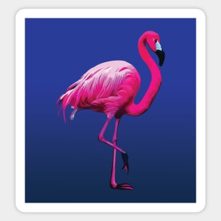 Striking Pink Flamingo on blue Sticker